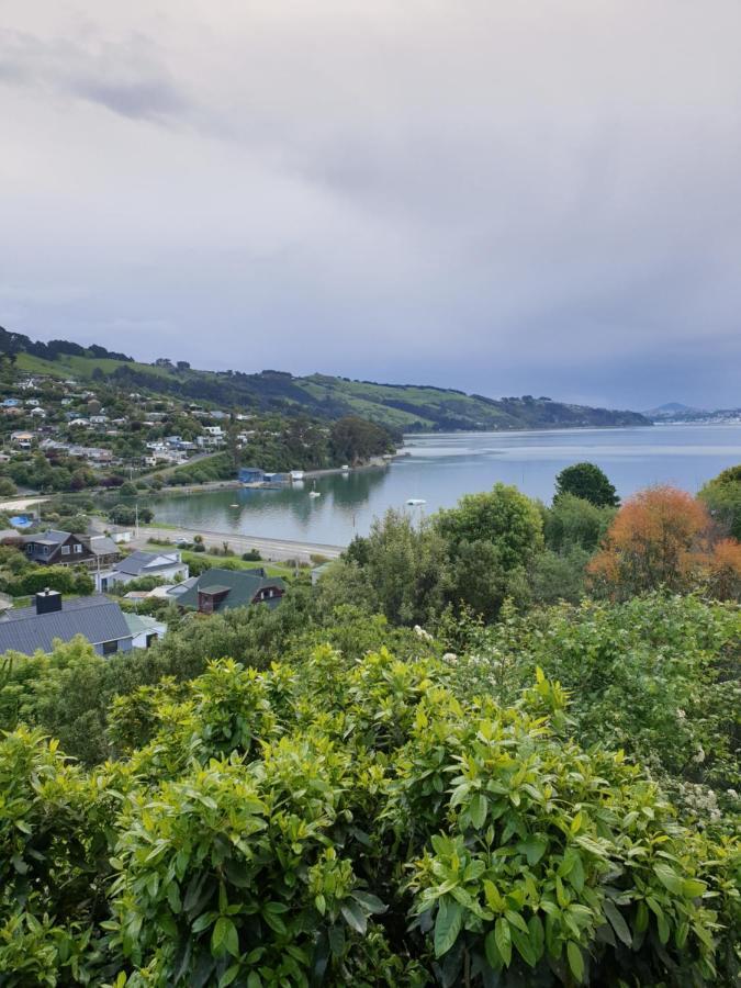 Tui2 Macandrew Bay Dunedin Eksteriør billede